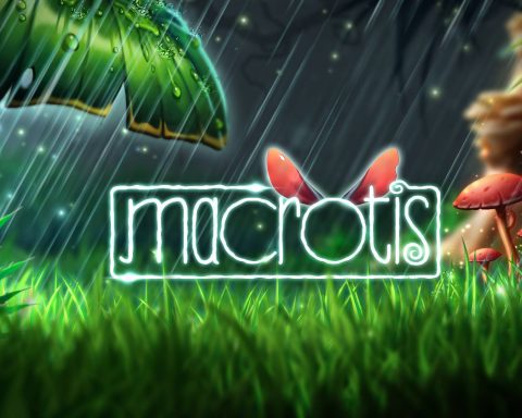 Macrotis Header Image