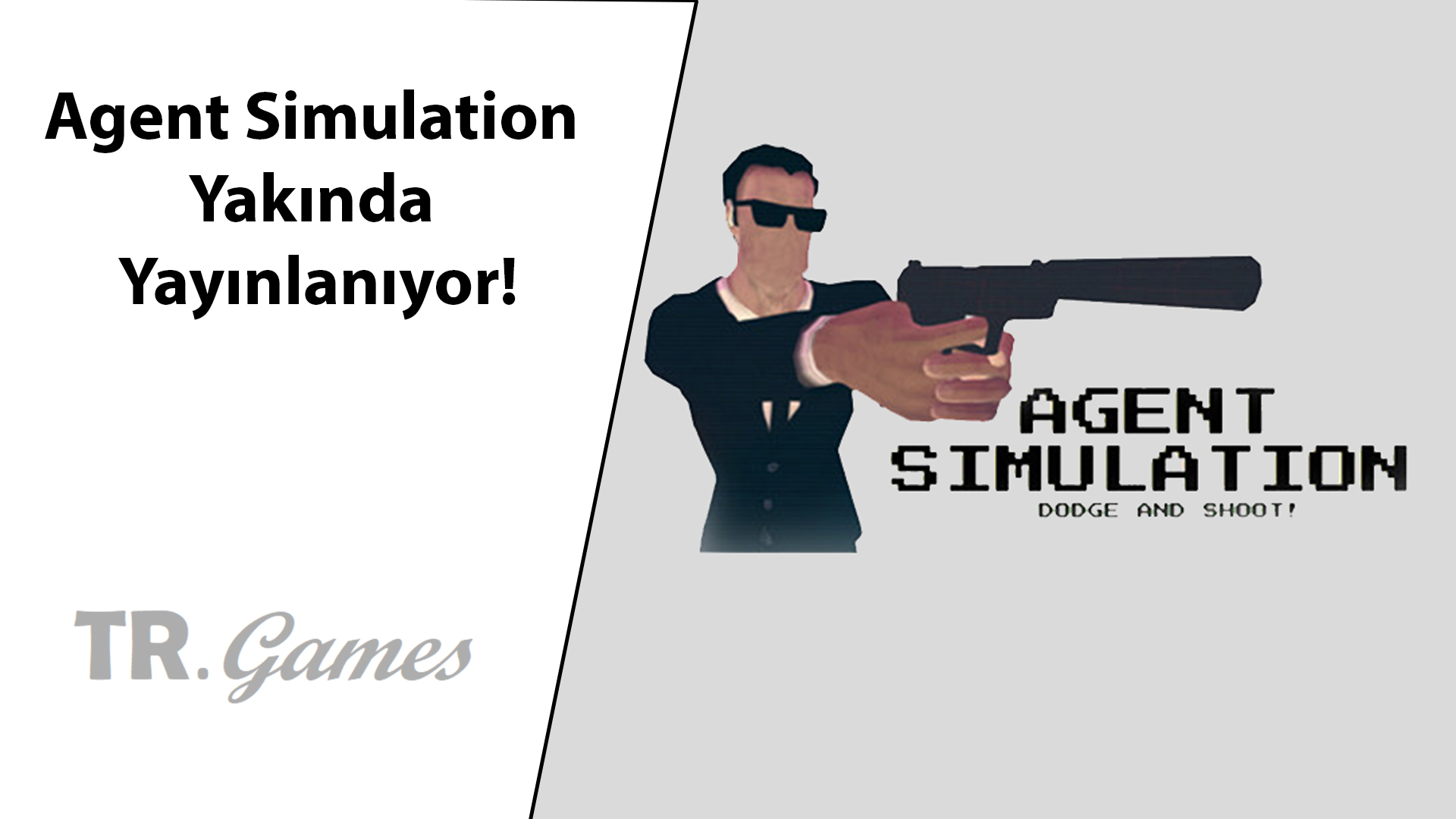 Agent Simulation